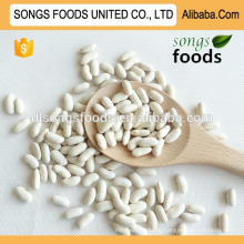 Dubai white kidney beans